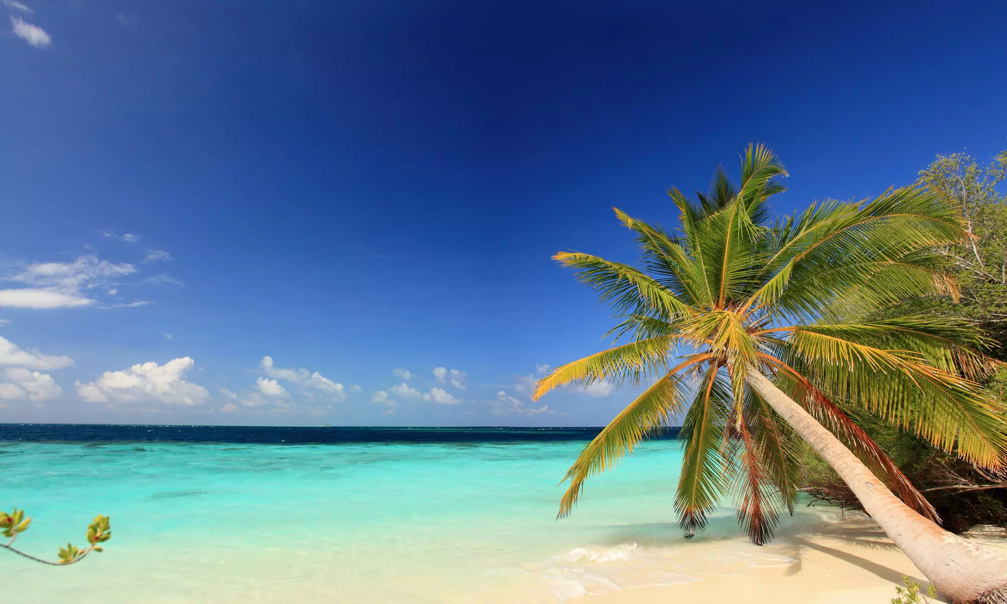 ✈ 9-Day Maldives Getaway: 4* All-Inclusive Paradise w/Flights. Based on Two Guests per Room. Buy One Voucher per Person. - Second Medium