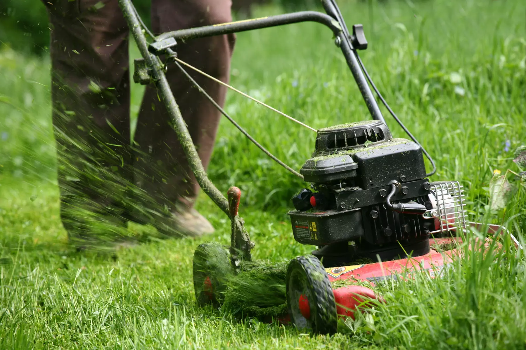 Lawn Mowing for Up to 1/4, 1/2, or One Full Acre from Southside Lawn Service (Up to 41% Off) - Primary Image