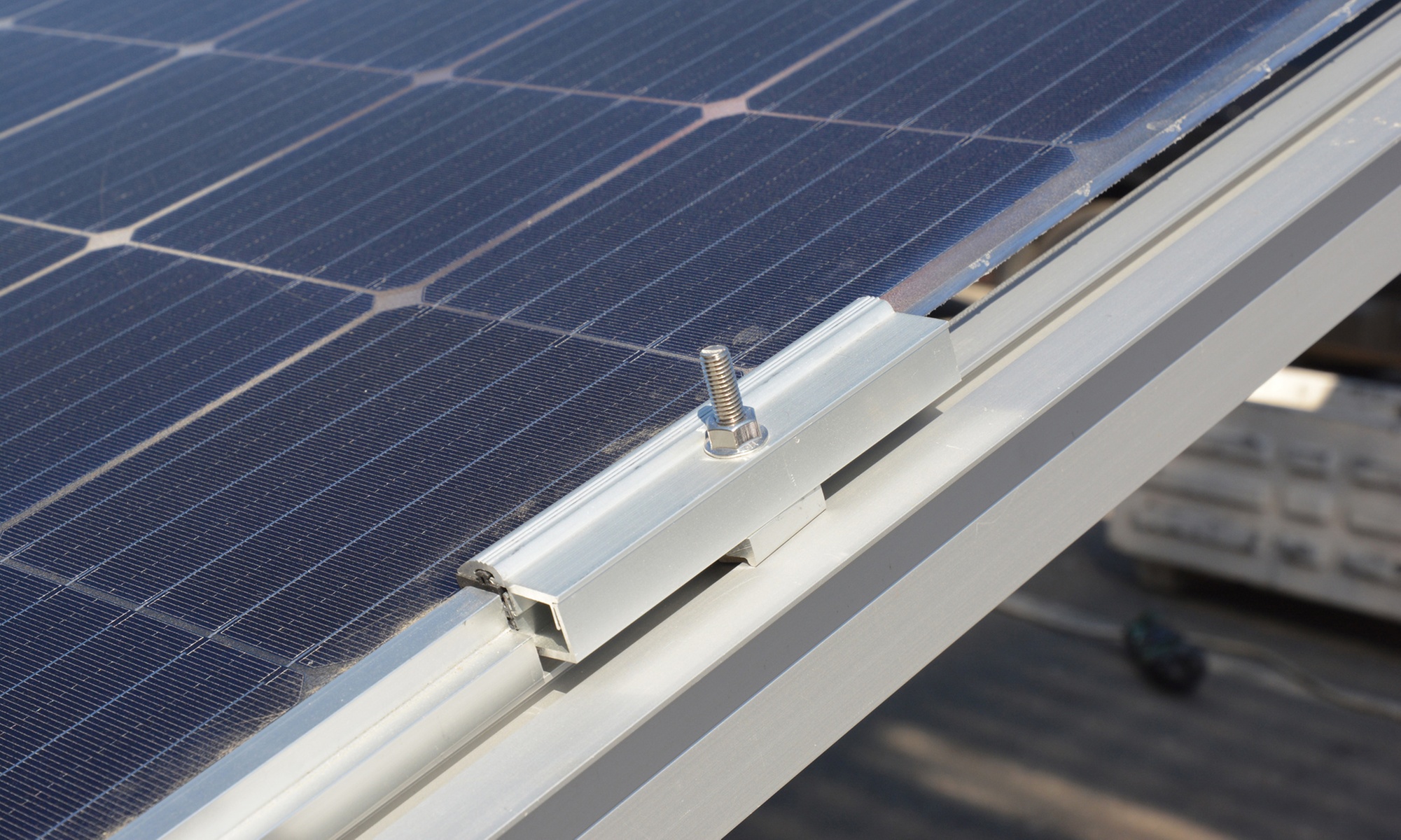 Bird Proofing Service