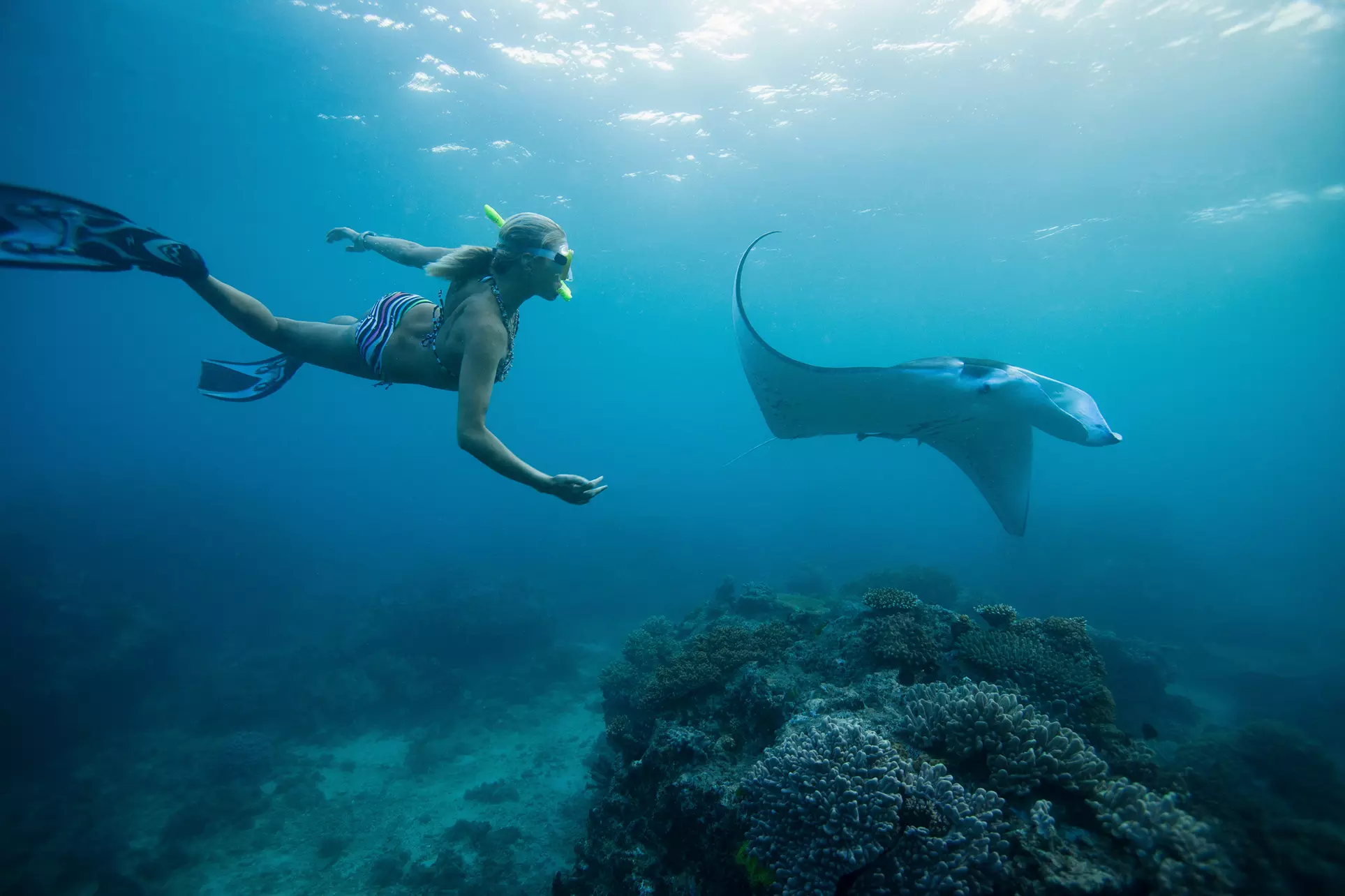 Experience the Magic of Kona: 2.5-Hour Morning Snorkel Adventure for Unforgettable Marine Encounters - Primary Image