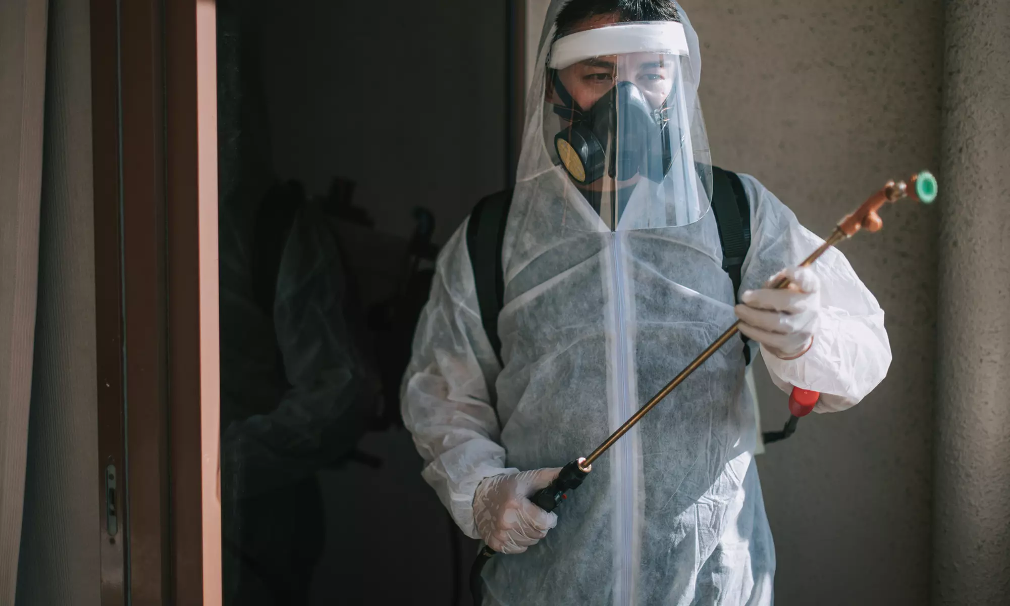 Up to 50% Off on Pest Control Service - General at Hadeqat Al Madina Pest Control & bldg cleaning - Primary Image