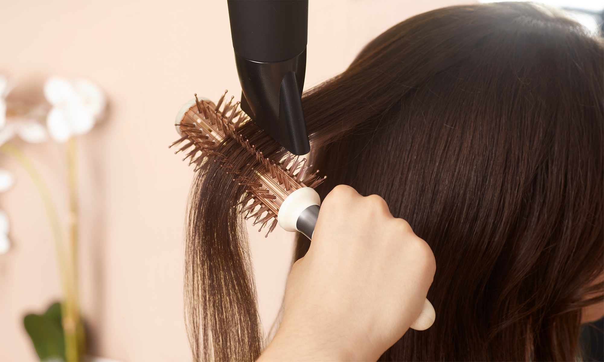 Transform Look with (Apprentice Booking Only) Haircut & Blow-Dry Style