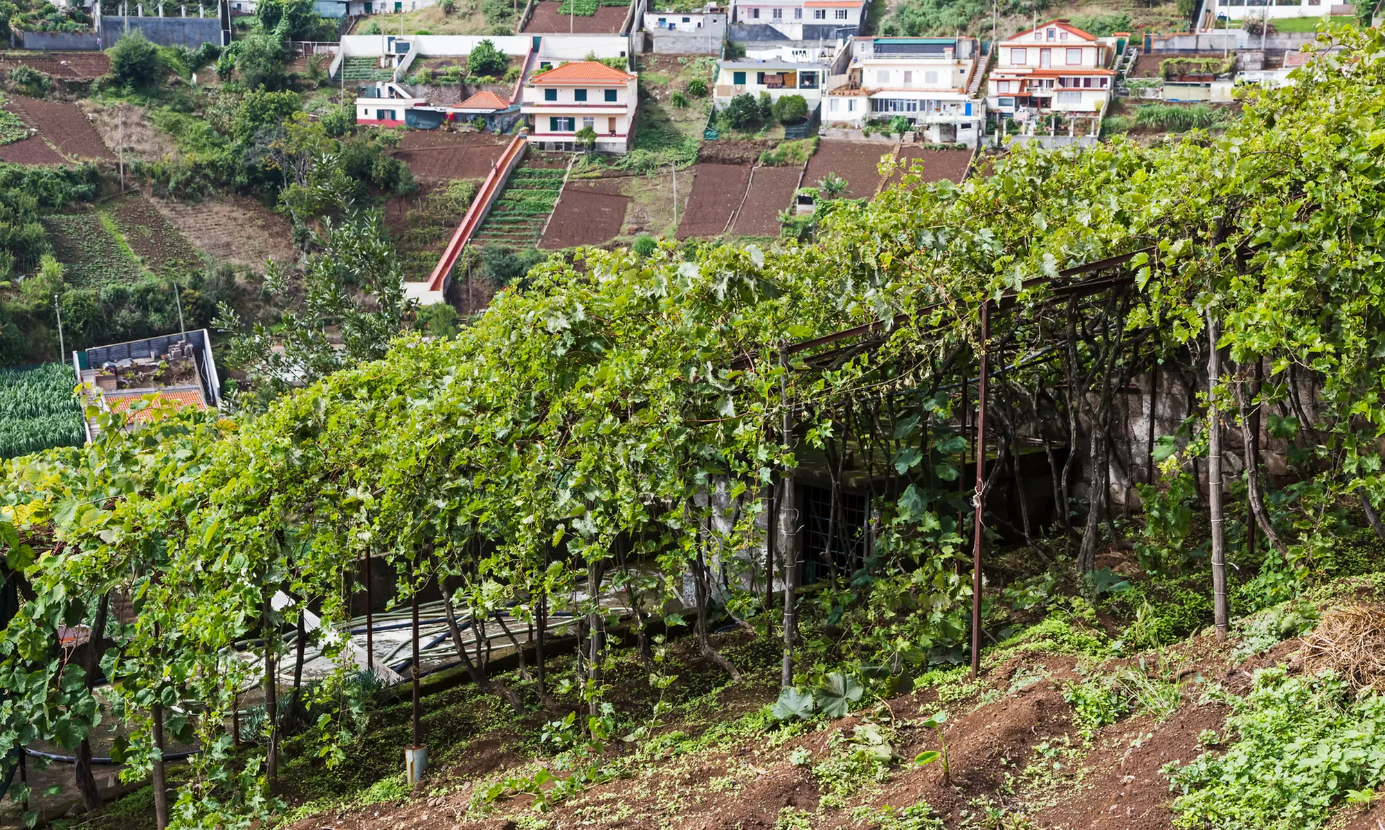 ✈ Porto: 4-Day Portugal Escape with Roundtrip Flights & Hotel