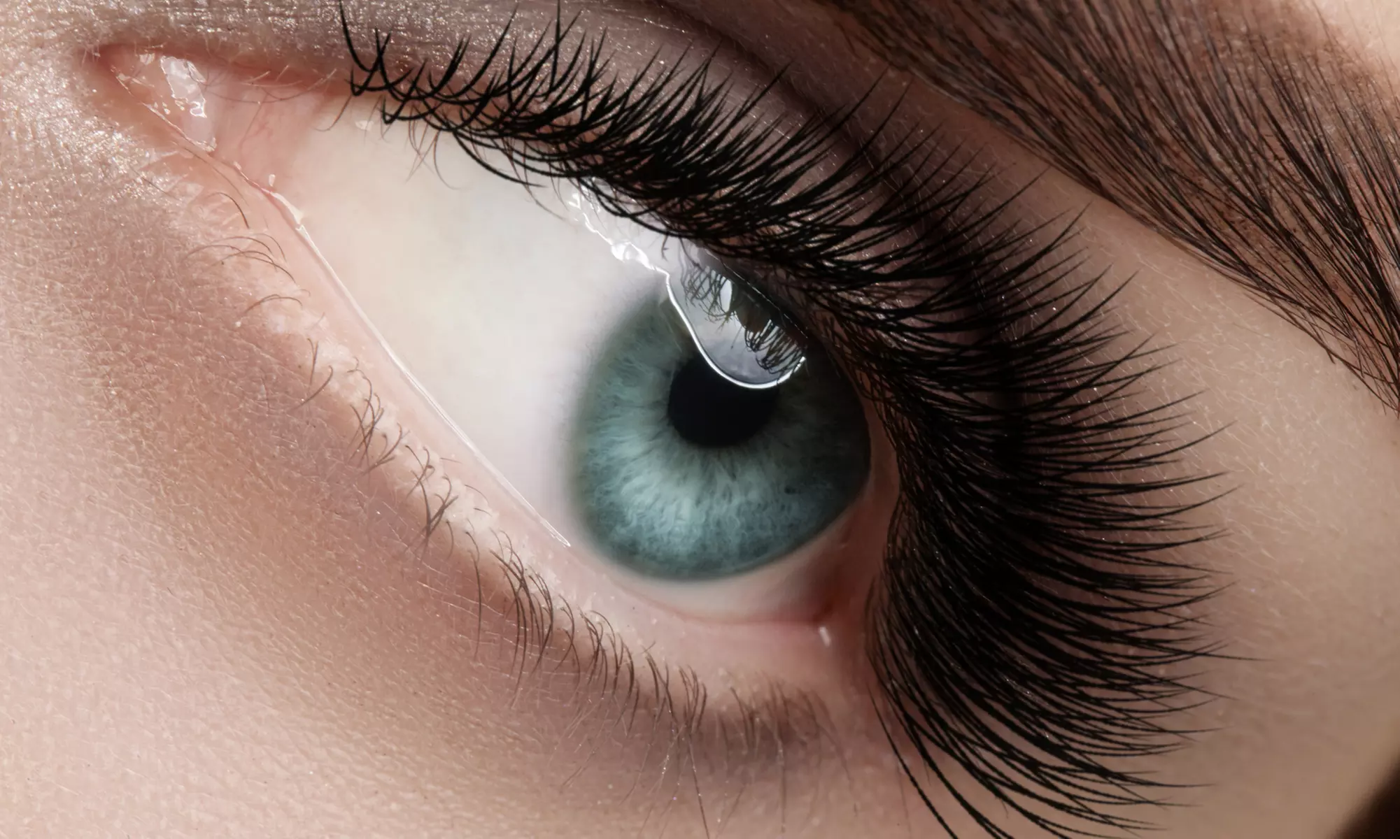 Luxe Glow Studio: 1, 2, or 3 Sessions of Eyebrow Lamination, Tinting, and Lash Lifting (Up to 61% Off) - Primary Image