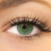 Image 1: Regard sublime : rehaussement ou extensions de cils longue tenue