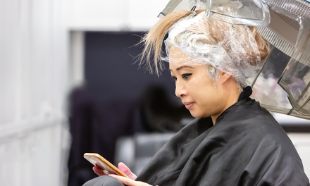 Partial Highlights or Lowlights with Blowout - Hair by Mariah at DTBC