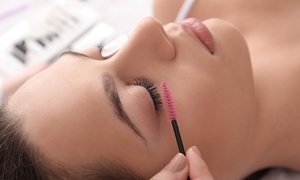 Perfekter Look: Wimpern-Lifting inkl. Färben und/oder Brow-Lifting inkl. Färben für Damen (bis 36% sparen)