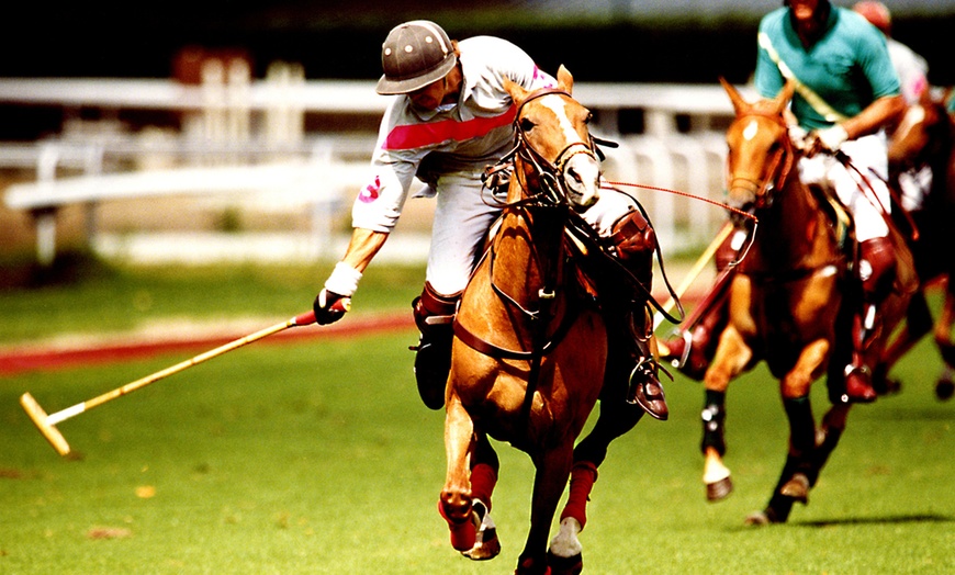 Image 1: Polo Adventures: 1-on-1, Group & Celebration Experiences (May–October)