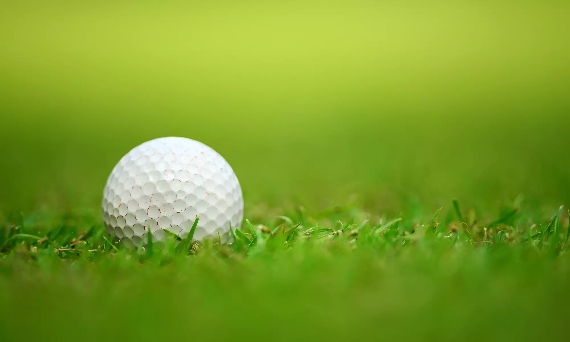 Weekday or Weekend Golf Simulator Package for Two or Four at Golf Without Limits (Up to 46% Off) - Primary Image