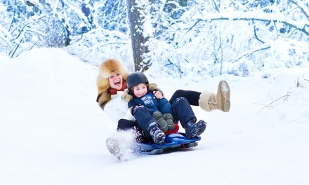 Alquiler de trineo para 1 o 2 días completos en Solo Snow (hasta 43% de descuento)