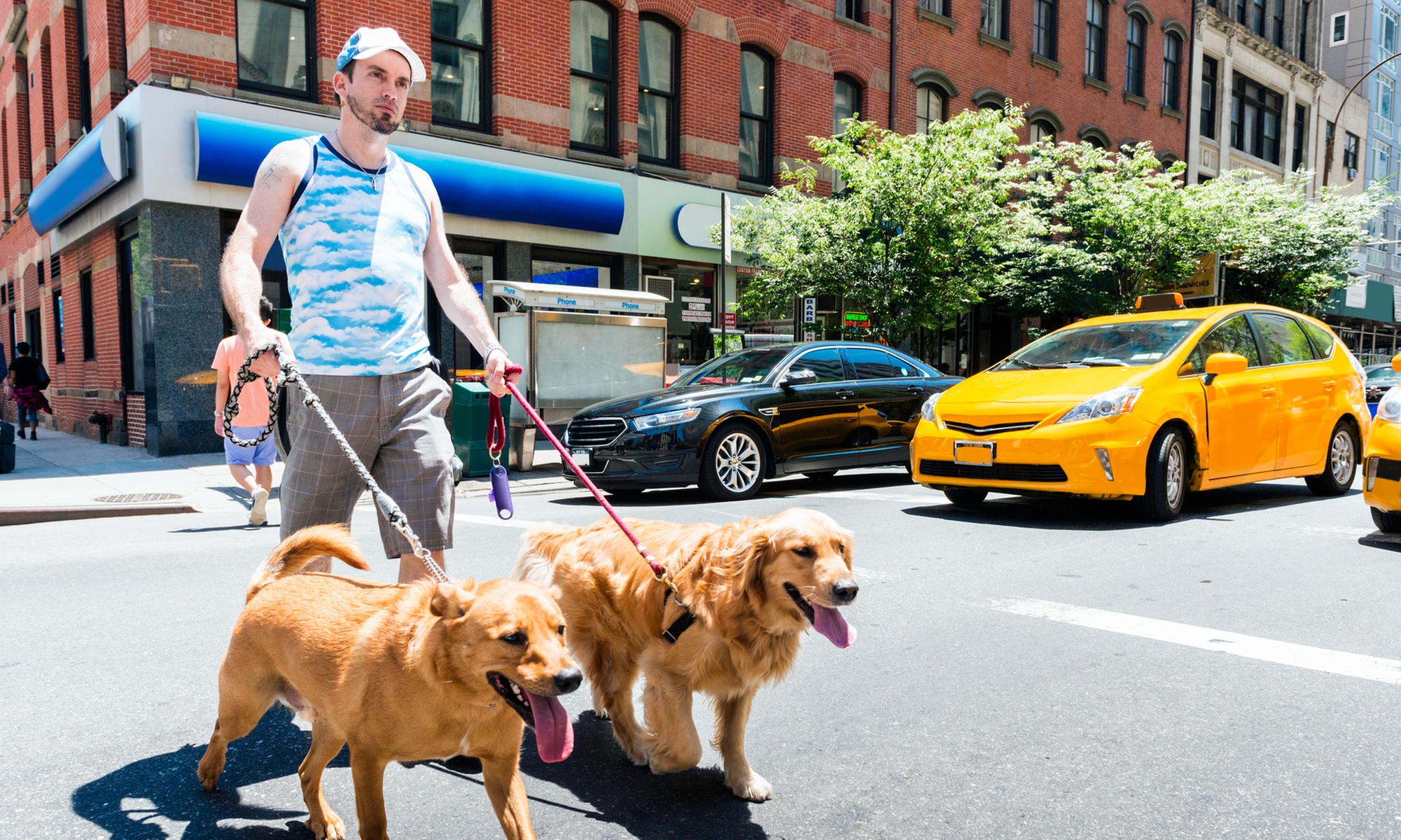 Train and Walk: 1 Week of 30-Minute Dog Walking OR Training Walks