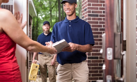 Certificate in Mobile Phone Repairing - Skills Pack