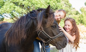 Animal Sanctuary Entry: Adult £6, Child £4