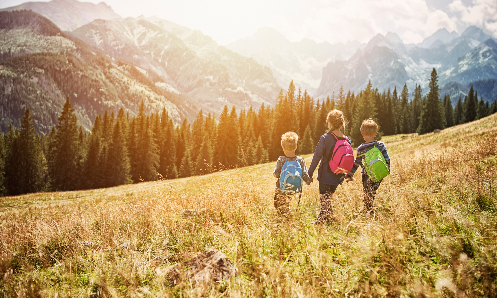 Explore Utah's Trails with Expert Geologist Tours for All Sizes