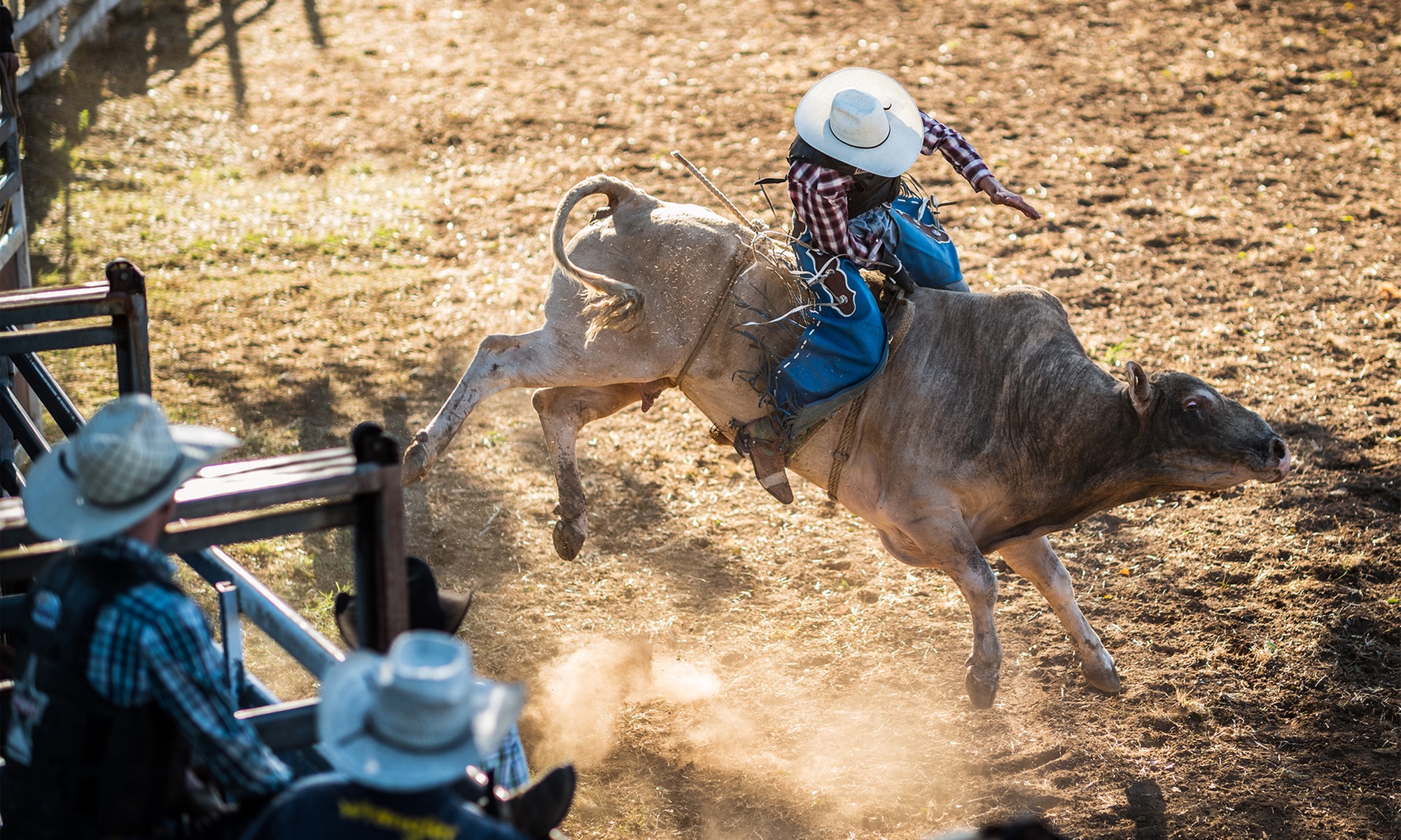 Experience a Fun Riding Lesson in Scenic Deerfield!