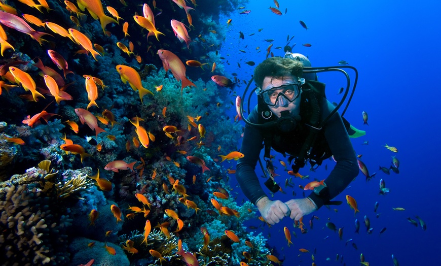 Image 1: Open Water Dive Course