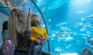 Admission for One Child or Adult to New York Aquarium