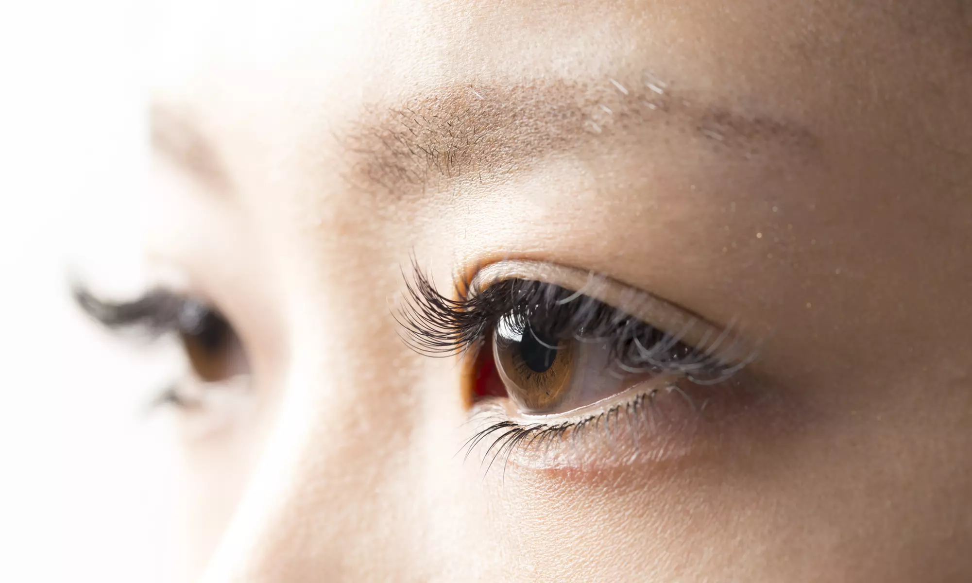 Enhance Your Look with Brow Lamination and Tint -  25% Off on at Bene Health & Wellness