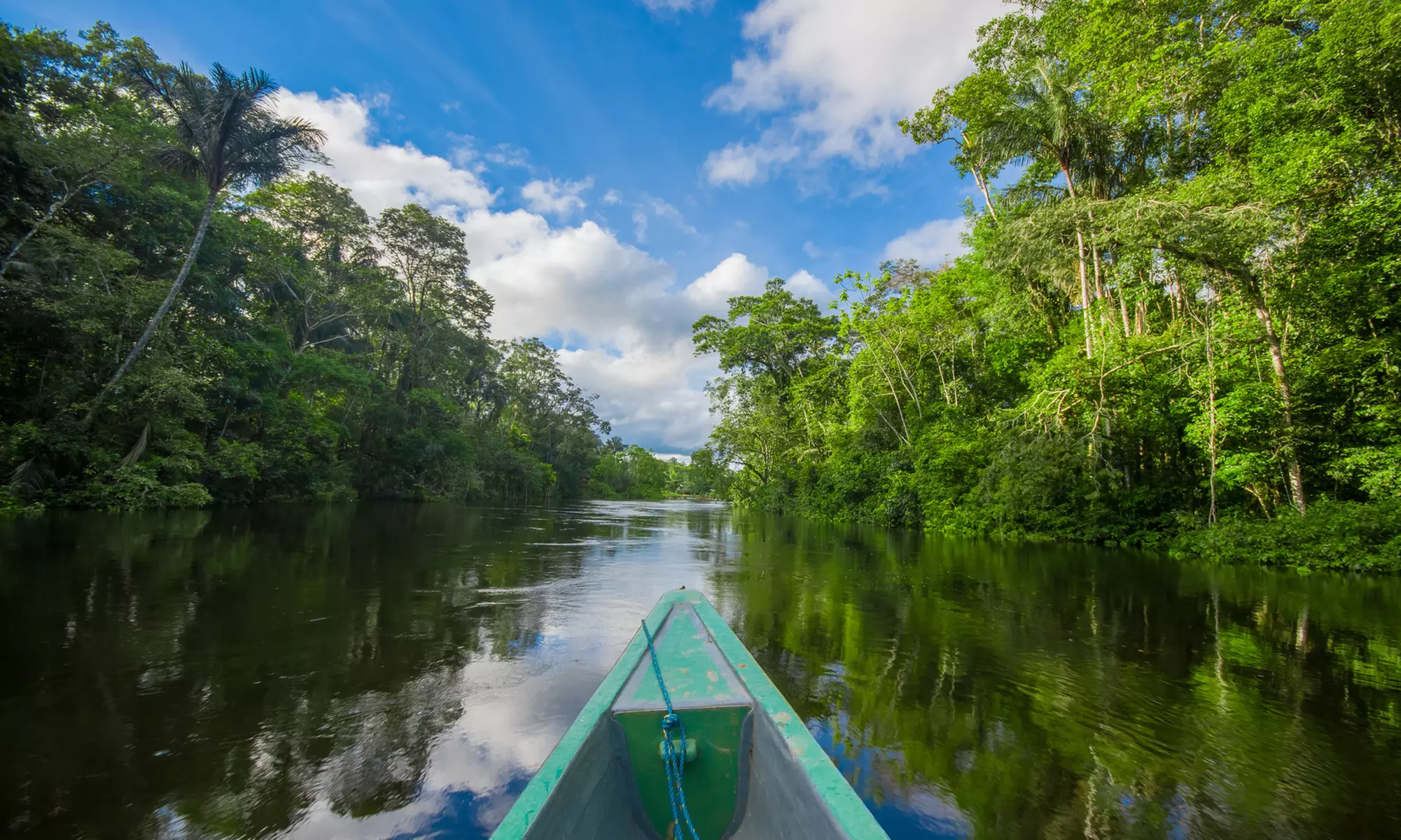 India: Kerala Serenity Journey