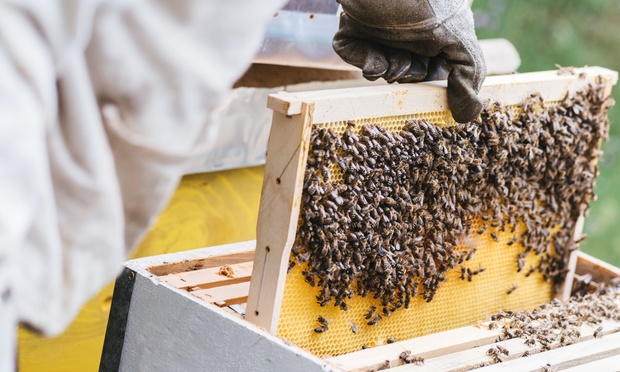 What to expect media