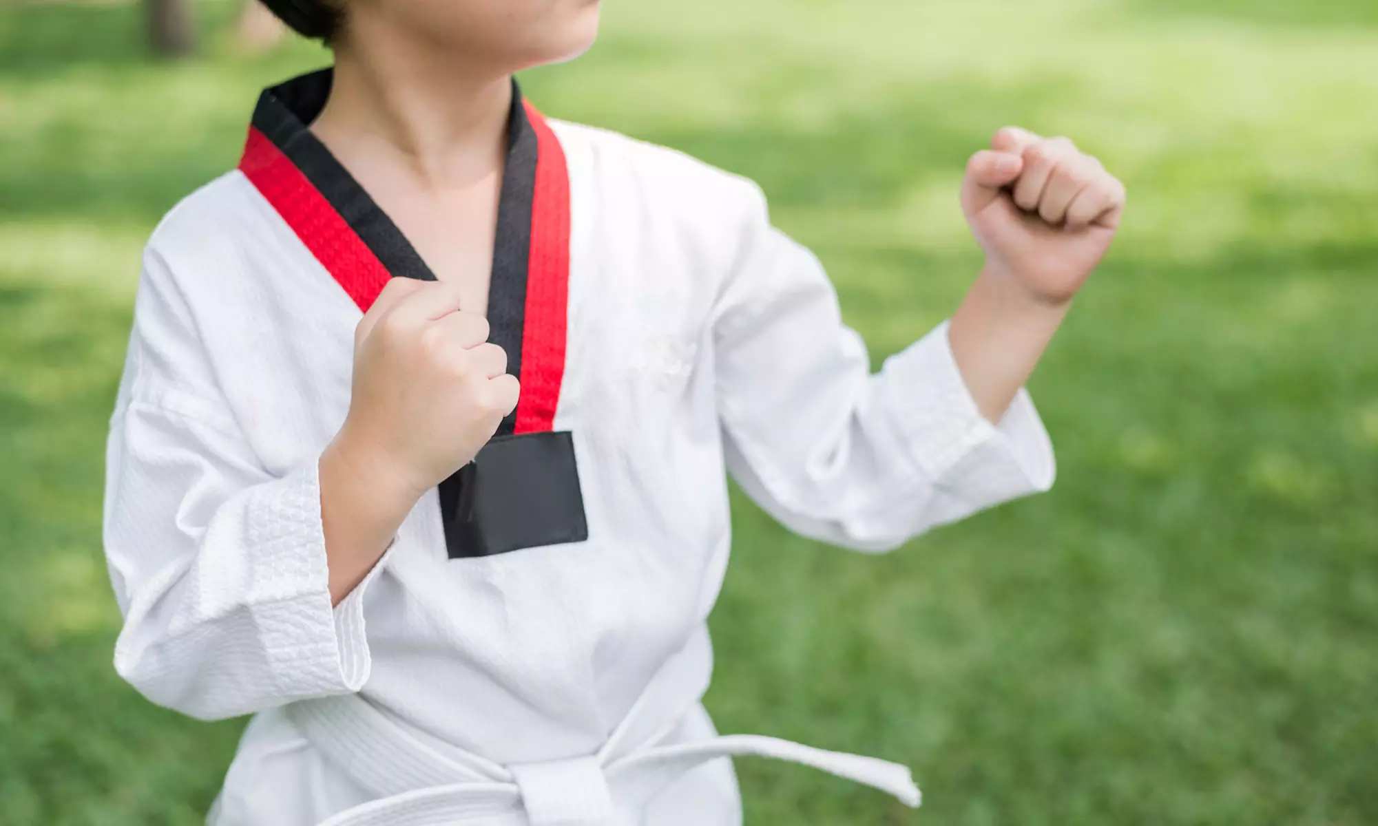 Up to 82% Off on Five or Unlimited Taekwondo Classes  & Gear for Ages 4 and Up at White Tiger Taekwondo - Primary Image