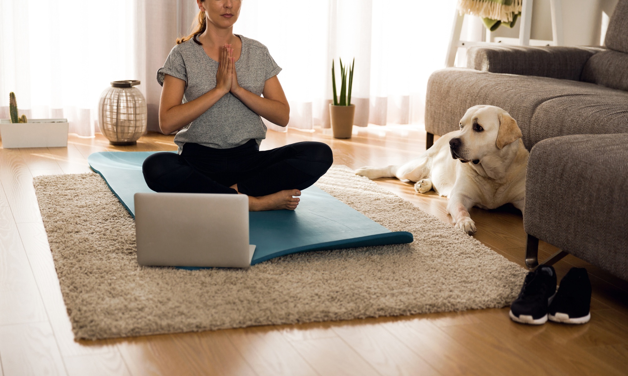 Online Yoga / Meditation Course at Happy Feet Yoga LLC