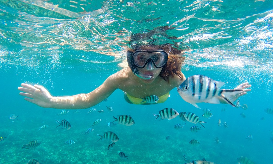 Image 1: Aventura submarina: snorkel con opción a barco en la costa alicantina