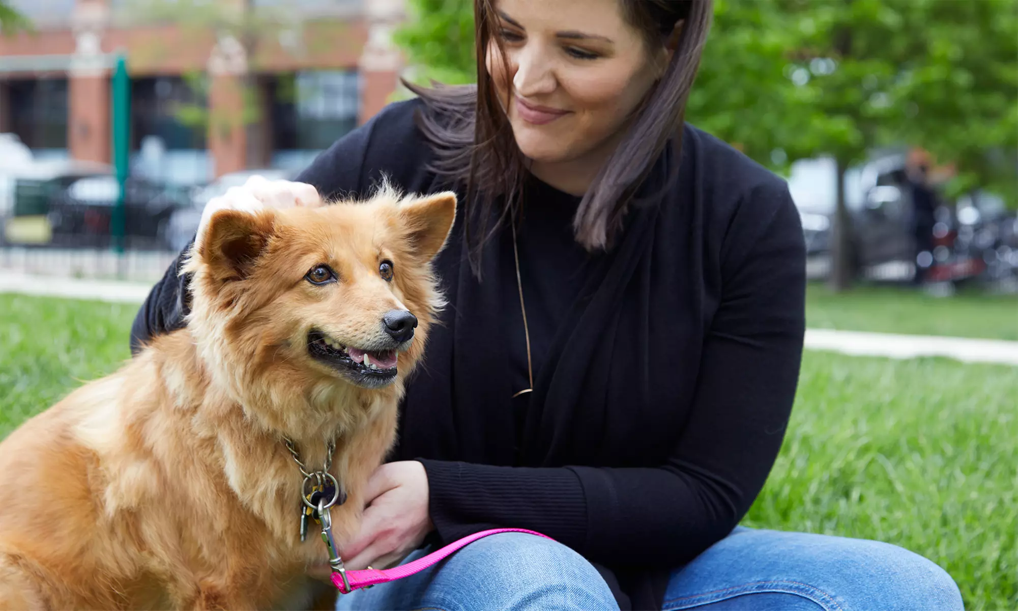 $17 for $30 Worth of Services — Pawfect Pet & House Sitter - Primary Image