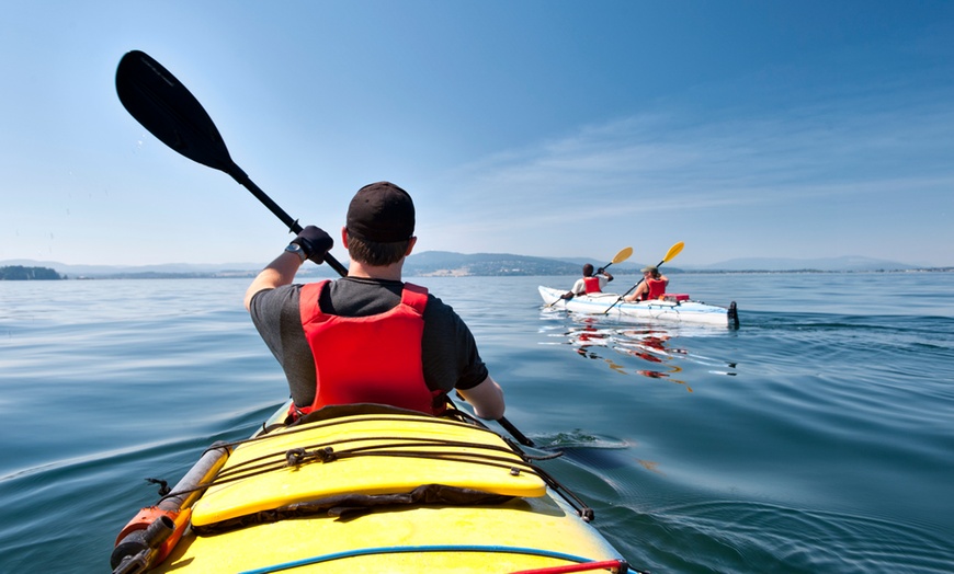 Image 1: One-Hour Paddleboard Rental