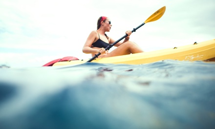1 o 2 horas de paddle surf o kayak para 1 o 2 personas con Ebluebikes (hasta 25% de descuento) 1 o 2 horas de paddle surf o kayak para 1 o 2 personas con Ebluebikes (hasta 25% de descuento)