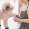 Image 1: Up to 42% Off on  at Cloud Pet Salon And Boarding
