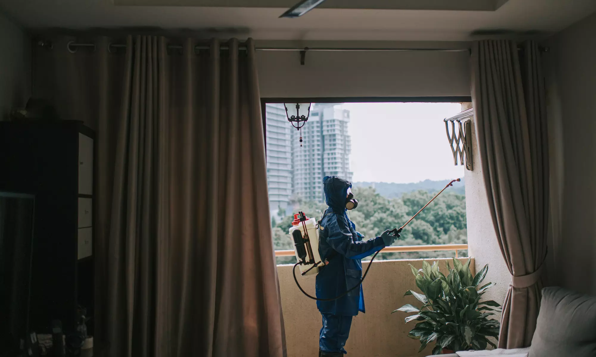 Experience Year-Round Pest Service with Termite Inspection at Official Pest Prevention, covering all pests up to 34% off - Primary Image