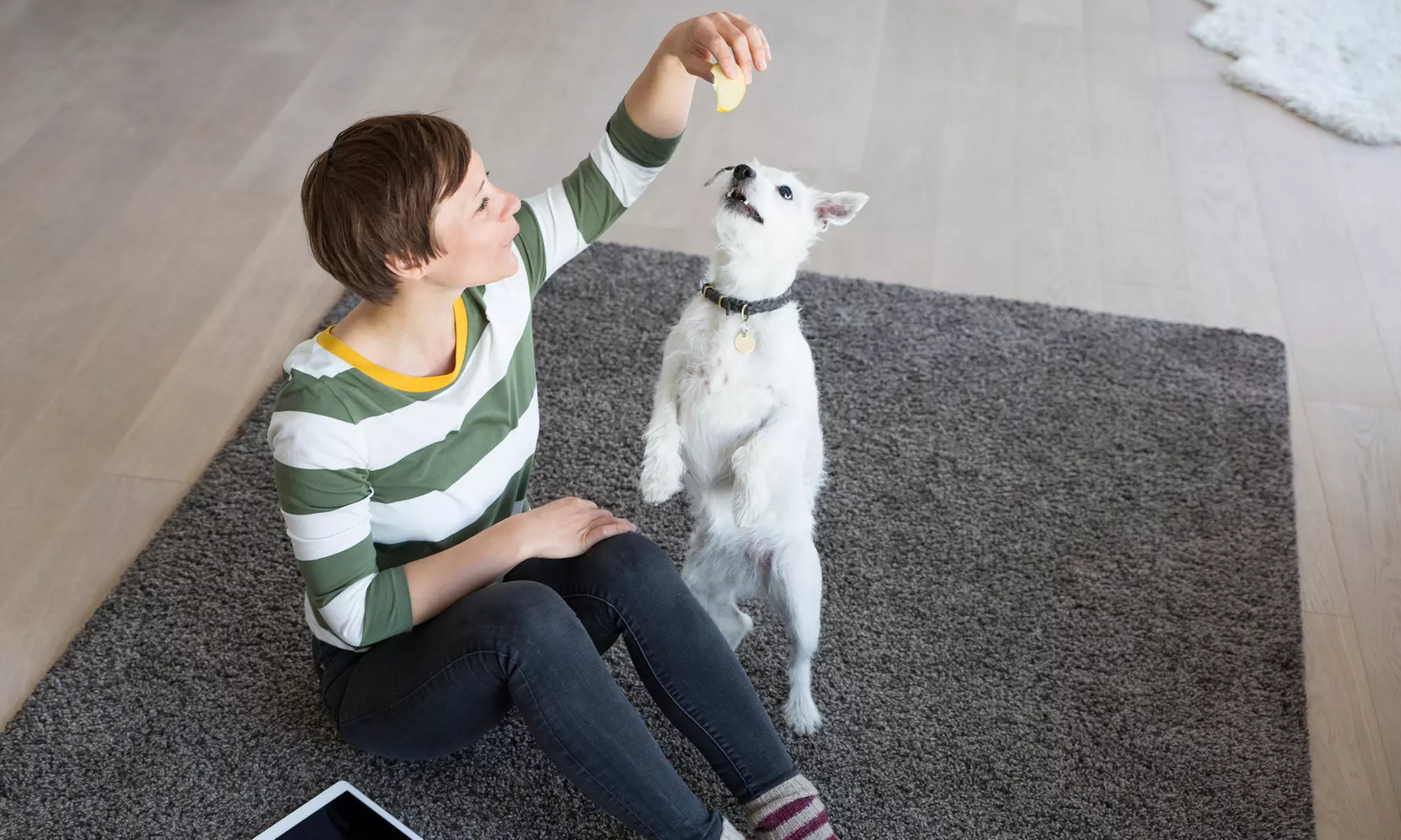 Steam Carpet Cleaning for Up to Three or Five Rooms or Upholstery Set from Victory Cleaning (Up to 21% Off) - Primary Image