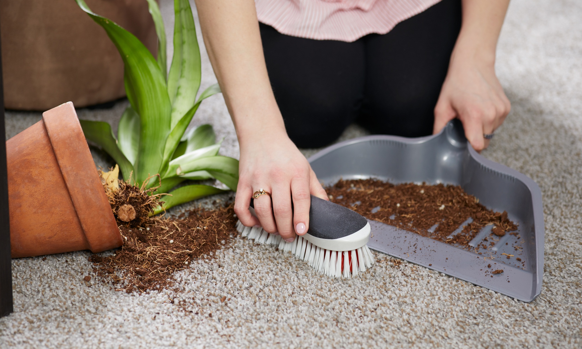 Revive Your Carpet: Clean One, Two, Three, Four, or Five Rooms!