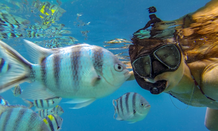 Image 1: Sesión de snorkel para 1 o 2 personas en Freeandivers