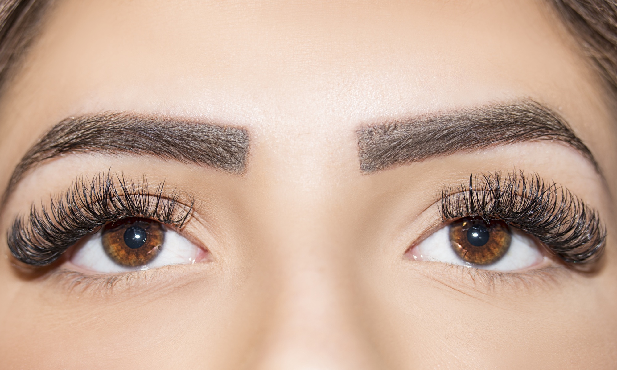 Achieve Defined Brows with Lamination, Tint, and Wax! 