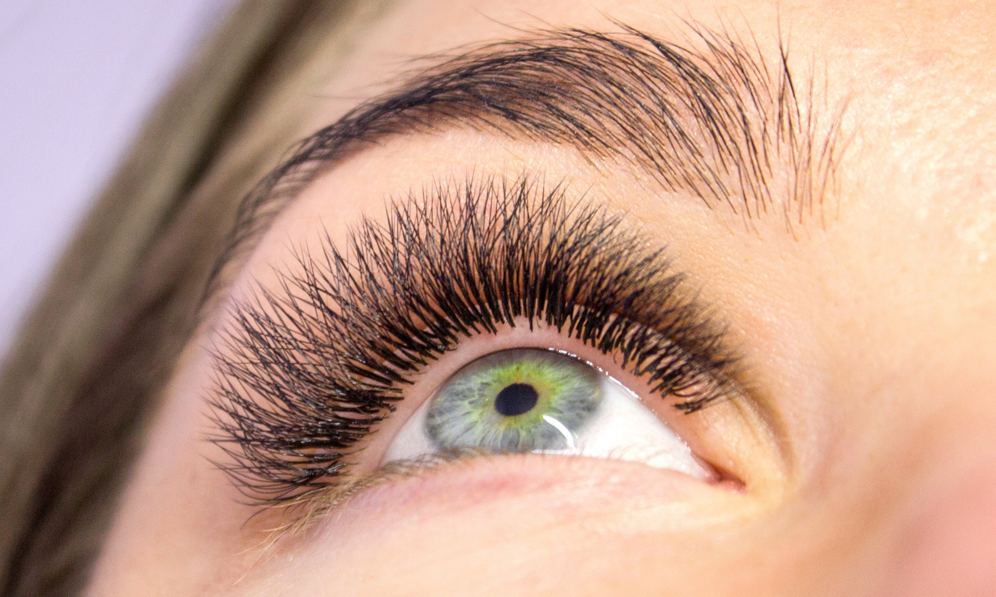 Brow or/and Lash Tint Or Signature Brow Shaping with Brow & Lash Tint