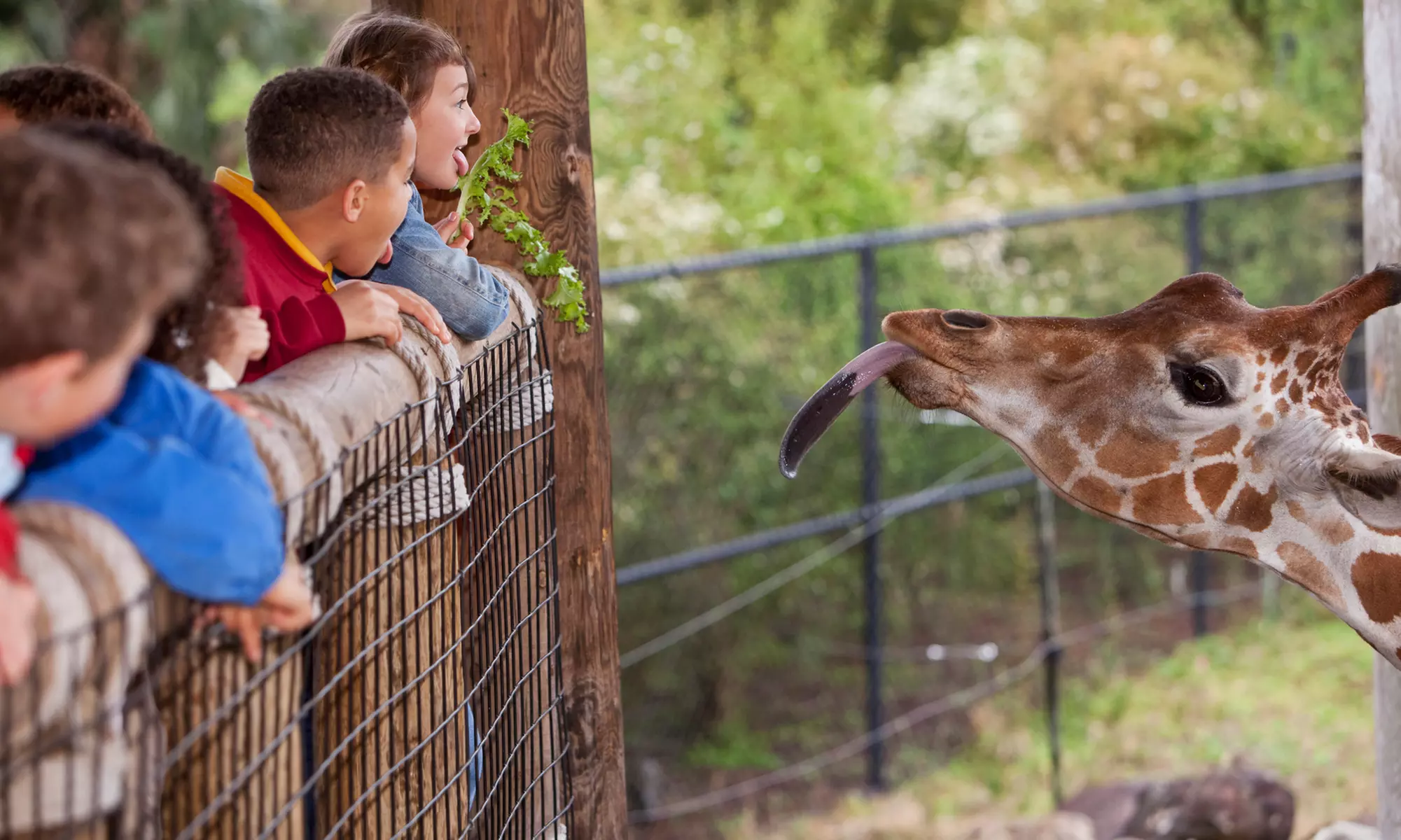 test - Second Medium