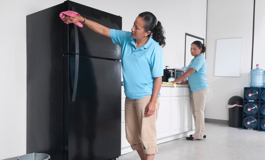 Image 1: Deep Cleaning with Sanitisation