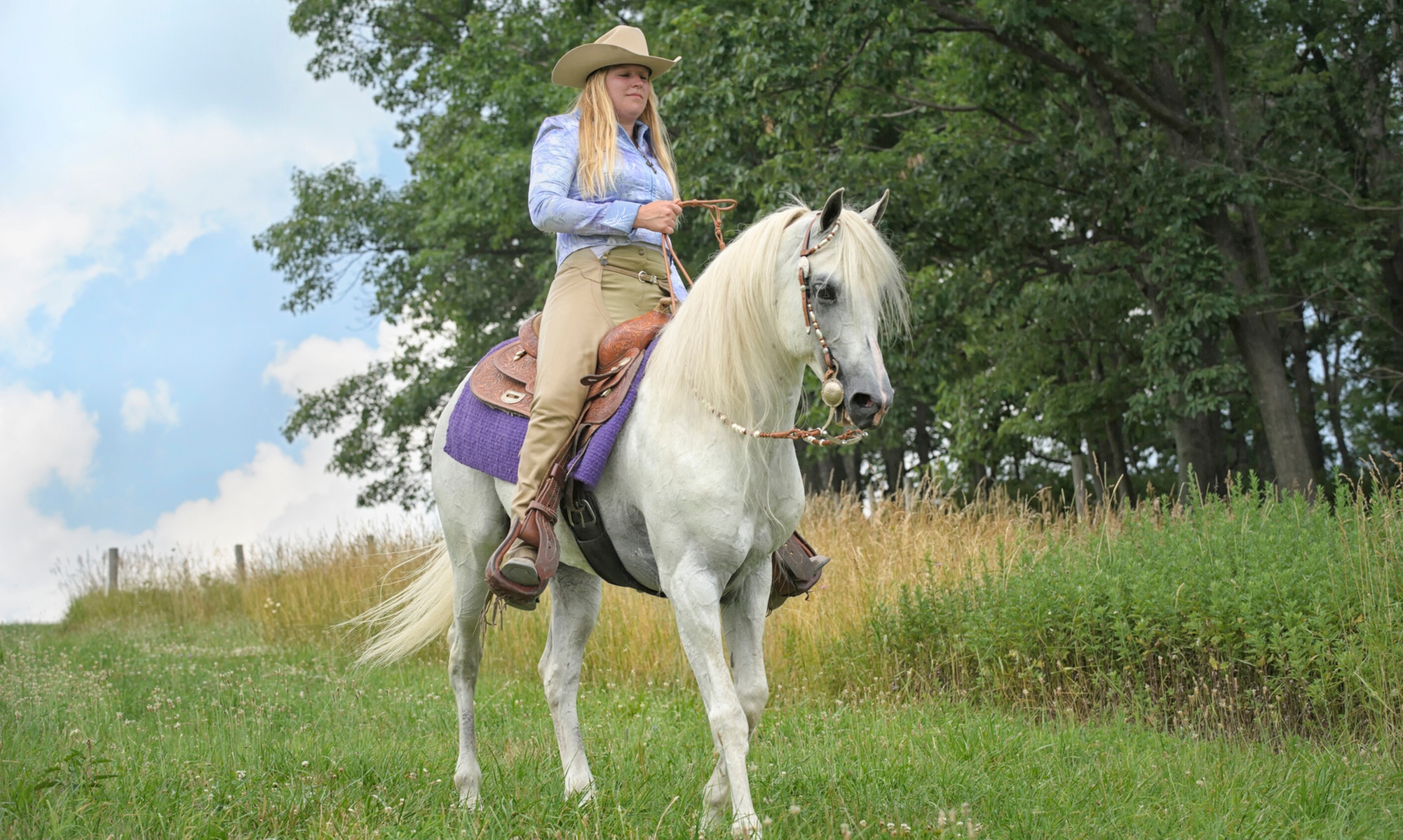 Enjoy Scenic Horseback Riding Lessons and Free Range Rides