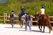 Equestrian Centre: Join 30 or 60-Min Horseback Riding Lessons (Up to 31%Off) - Second Medium