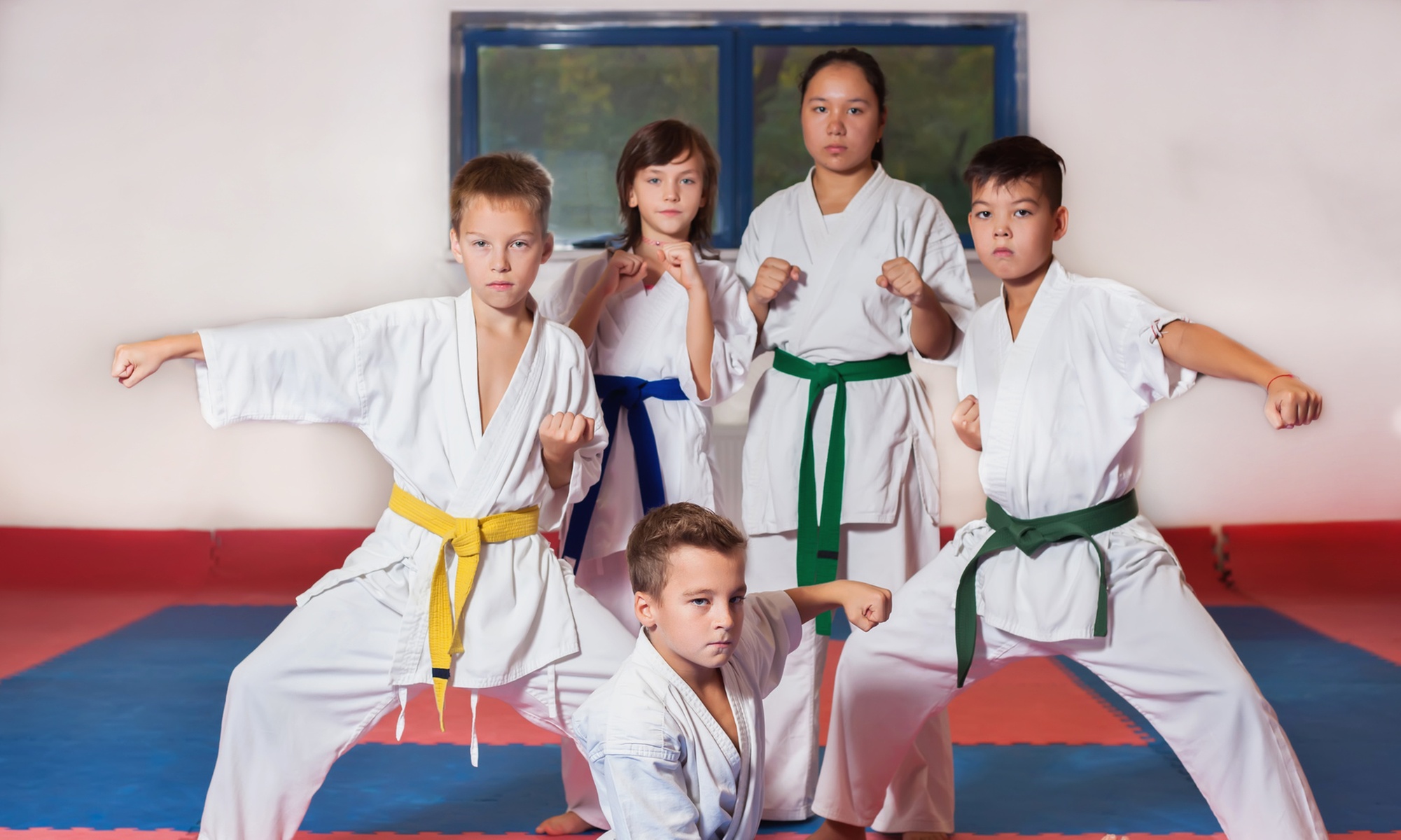 Two Weeks - Unlimited Jiu-jitsu Classes Adults And Kids (Free T-Shirt)