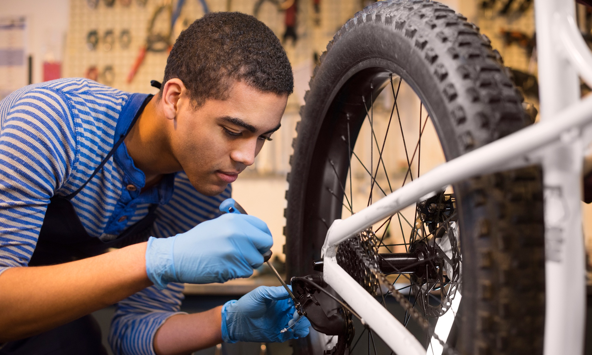 Große Fahrrad-Inspektion (E-Bike)
