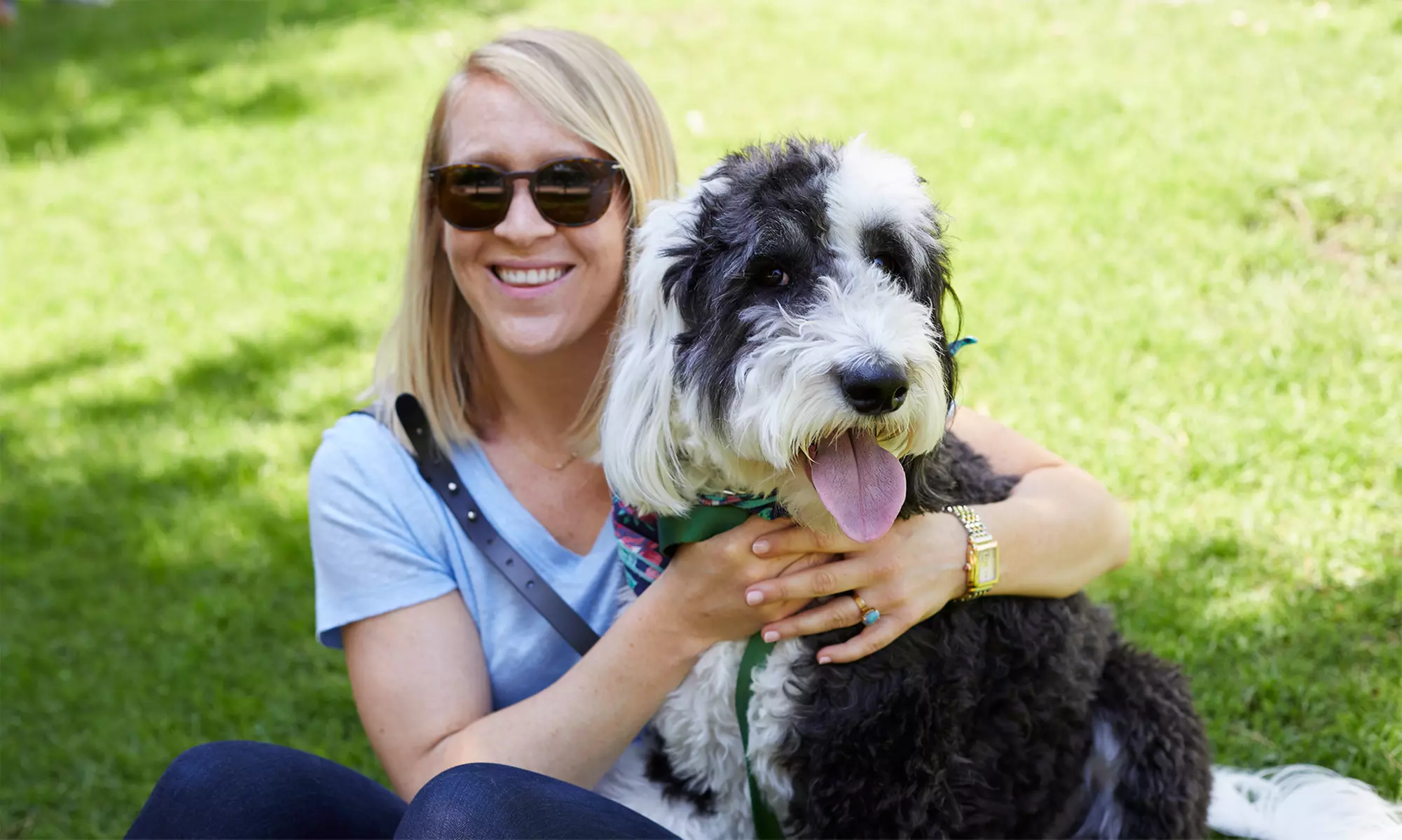 One-time, 4 visits in a month, or Twice a Week Removal for One Month, Up to 1 or 2 Dogs (Up to 60% Off) - Primary Image