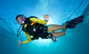 Pierwszy krok do nurkowania: kurs Scuba Experience dla 1 lub 2 osób