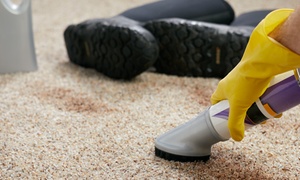 Up to 82% Off Carpet Cleaning up to 5 Rooms with Pet Stain Removal and Upholstery Cleaning at Duct Guys Team