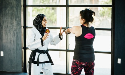 Two Weeks of Martial Arts Classes - Provo ATA Martial Arts