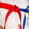 Image 1: A Month of Unlimited Traditional/Team Taekwondo for Adults or Kids