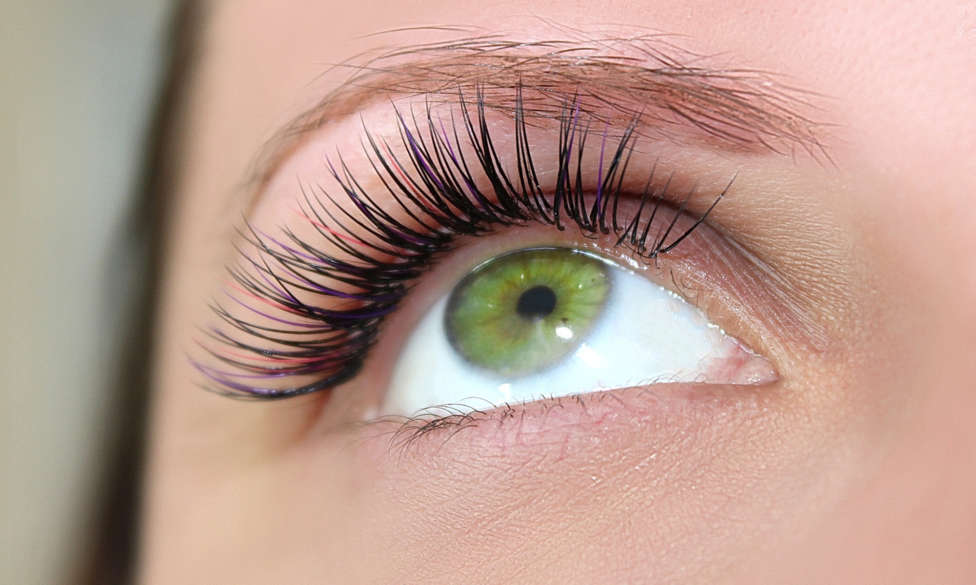 Up to 46% Off on Eyelash Tinting at Lush Lash by Carolyn