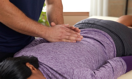 Consultation with Exam and One Chiropractic Adjustment - Mind and Body Clinical and Chiropractic